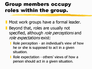 Roles Within Group 26