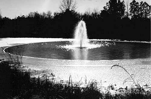 Fountain Lake at Byrd Park