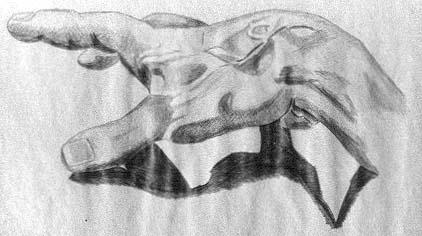 Drawing of Plaster Cast of hand