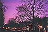 Trees Silhouetted Against Purple Sky with Monument Avenue Church Spire in Distance