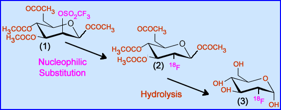 Nucleophilic substitution leads to hydrolysis that produces FDG