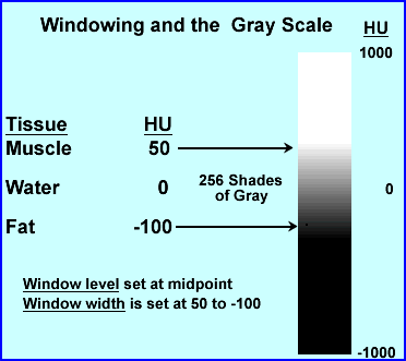Setting the Widwon to an Appropriate Gray Scale