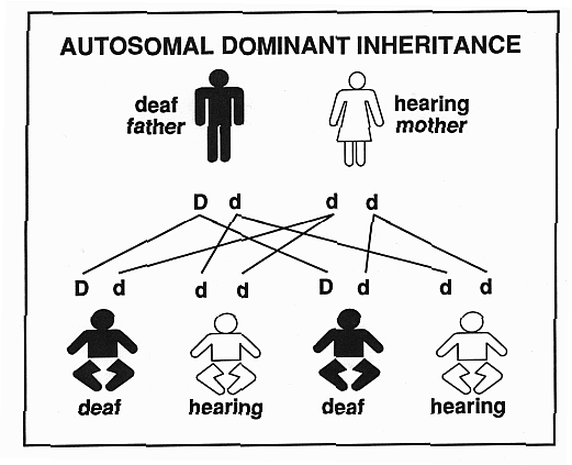 Deafness Autosomal Dominant