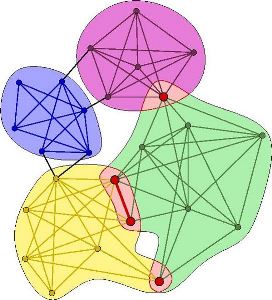 overlapping community structure