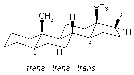 Chair conformation of steroids