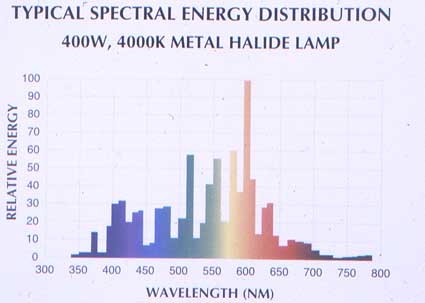 wavelengths for halide lamp
