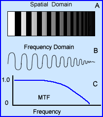 Spatial vs. Frequency Domains